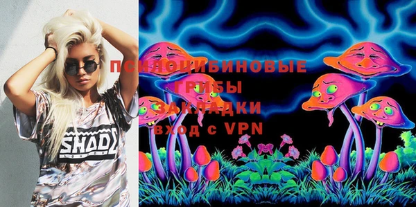 ешки Горняк