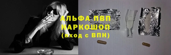 ешки Горняк