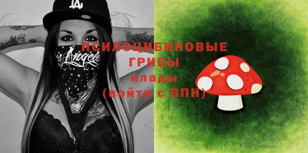 ECSTASY Вязьма