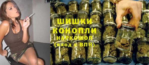 ешки Горняк