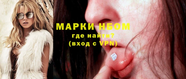 ешки Горняк