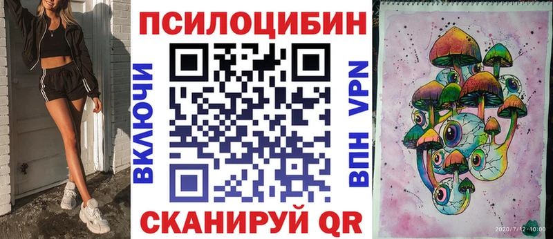 mega ссылки  Гусев  Псилоцибиновые грибы Psilocybine cubensis 